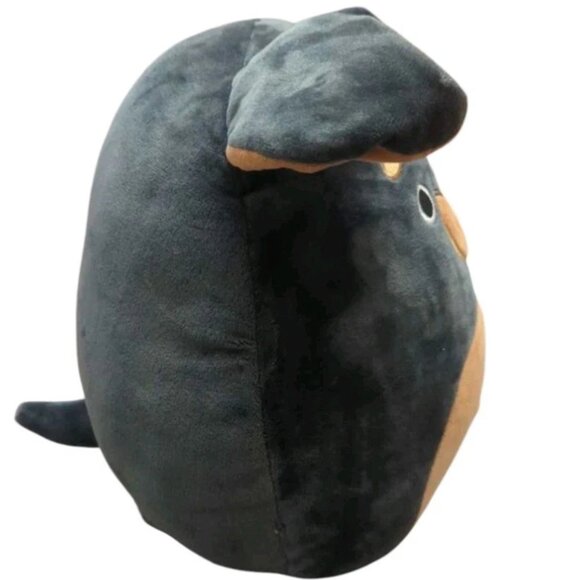 Squishmallow Mateo Rottweiler 8" Dog Puppy Soft Plush Toy Stuffed Animal - Picture 4 of 5